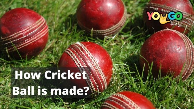 How Cricket ball is made ?